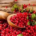 Bowl of cranberries