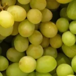 A Bunch of Green Grapes