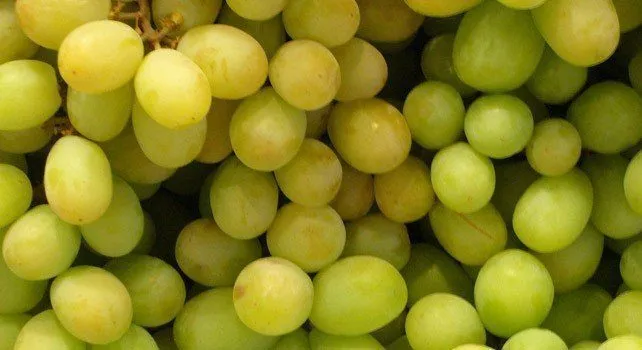 A Bunch of Green Grapes